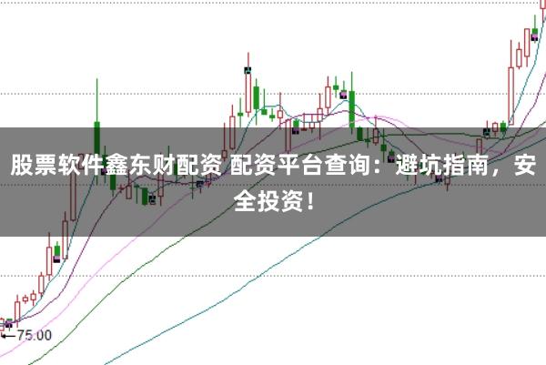 股票软件鑫东财配资 配资平台查询：避坑指南，安全投资！