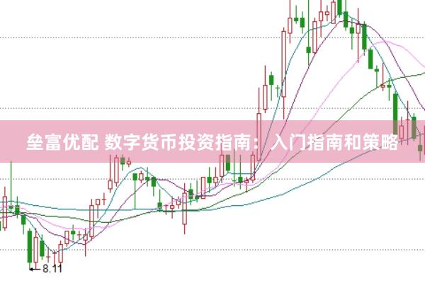 垒富优配 数字货币投资指南：入门指南和策略
