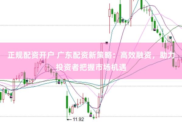 正规配资开户 广东配资新策略：高效融资，助力投资者把握市场机遇