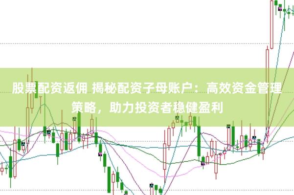 股票配资返佣 揭秘配资子母账户：高效资金管理策略，助力投资者稳健盈利