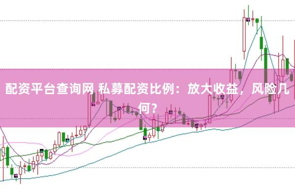 配资平台查询网 私募配资比例：放大收益，风险几何？
