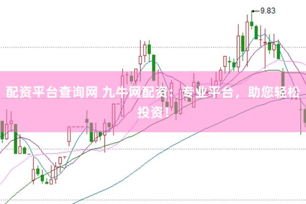 配资平台查询网 九牛网配资：专业平台，助您轻松投资！