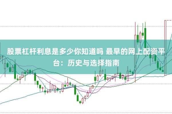 股票杠杆利息是多少你知道吗 最早的网上配资平台：历史与选择指南