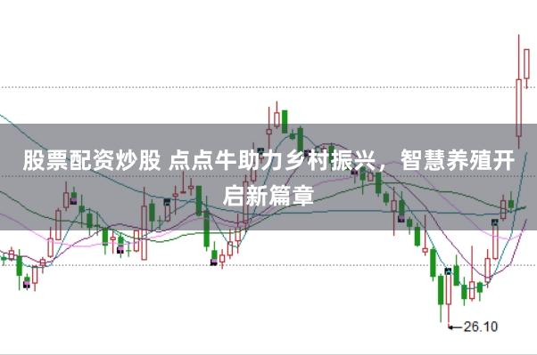 股票配资炒股 点点牛助力乡村振兴，智慧养殖开启新篇章