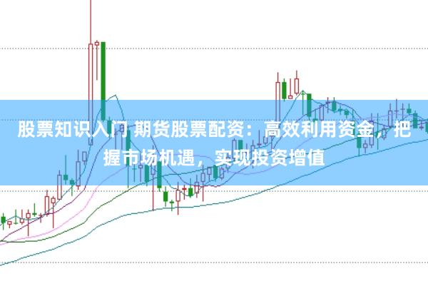 股票知识入门 期货股票配资：高效利用资金，把握市场机遇，实现投资增值
