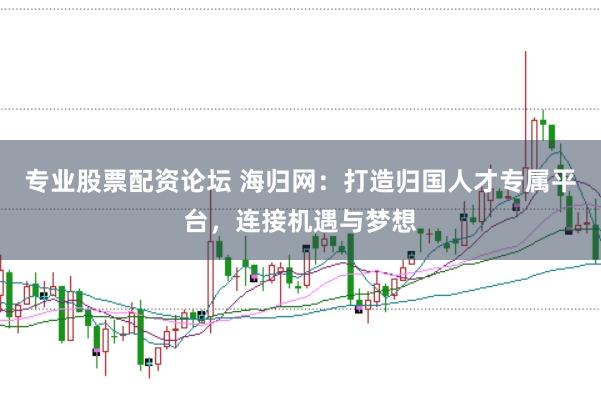 专业股票配资论坛 海归网：打造归国人才专属平台，连接机遇与梦想