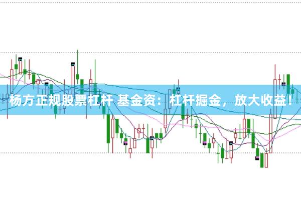 杨方正规股票杠杆 基金资：杠杆掘金，放大收益！
