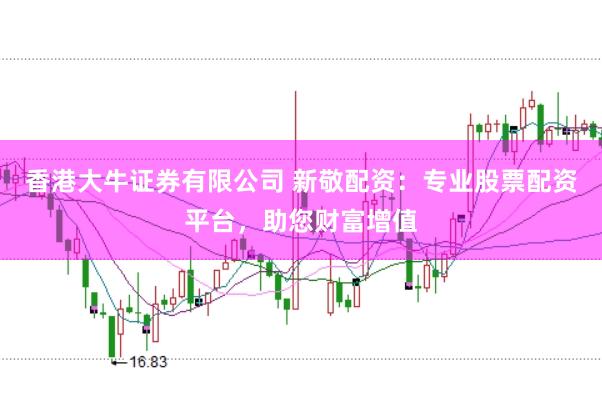 香港大牛证券有限公司 新敬配资：专业股票配资平台，助您财富增值