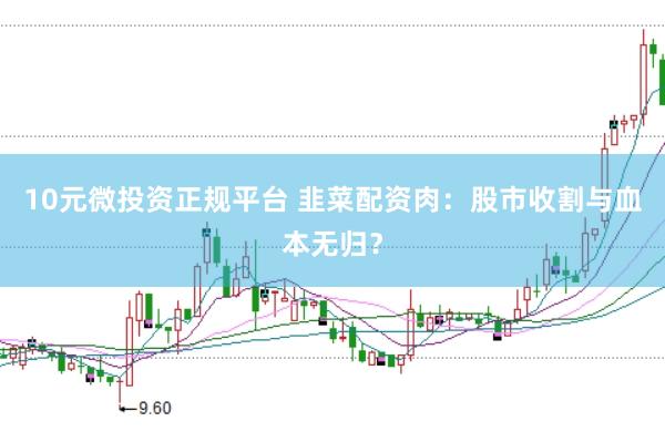 10元微投资正规平台 韭菜配资肉：股市收割与血本无归？