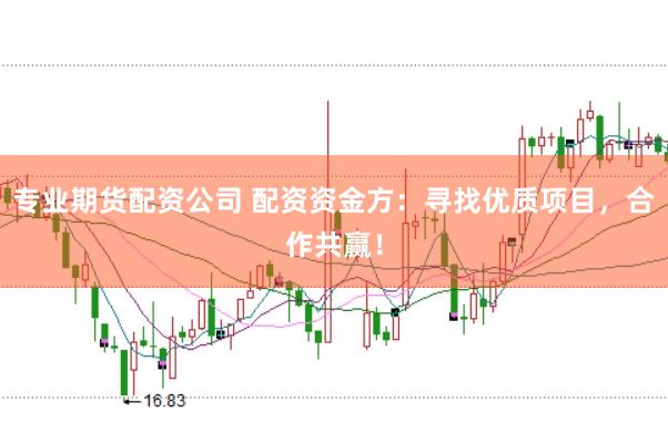 专业期货配资公司 配资资金方：寻找优质项目，合作共赢！