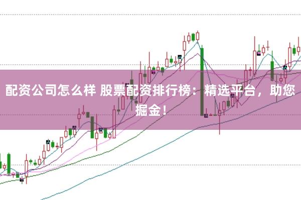 配资公司怎么样 股票配资排行榜：精选平台，助您掘金！