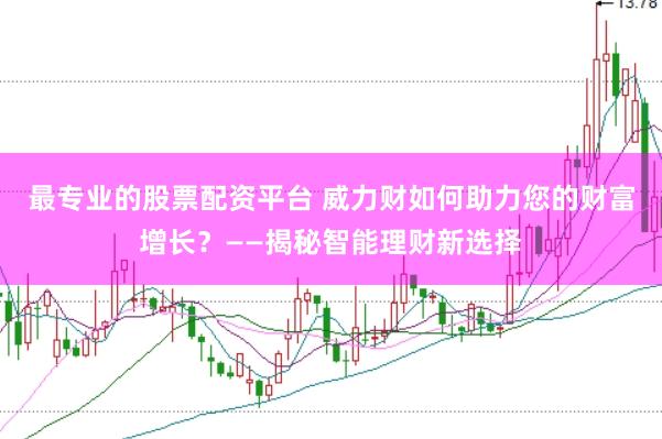 最专业的股票配资平台 威力财如何助力您的财富增长？——揭秘智能理财新选择