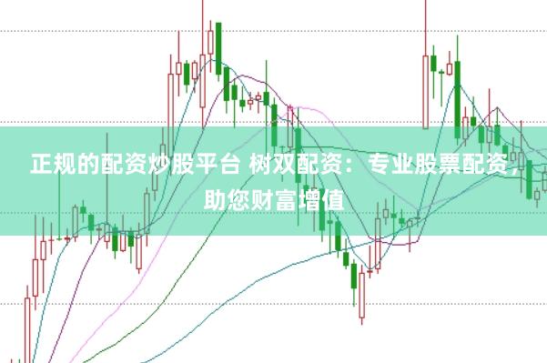 正规的配资炒股平台 树双配资：专业股票配资，助您财富增值