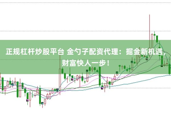 正规杠杆炒股平台 金勺子配资代理：掘金新机遇，财富快人一步！