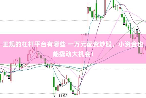 正规的杠杆平台有哪些 一万元配资炒股，小资金也能撬动大机会！