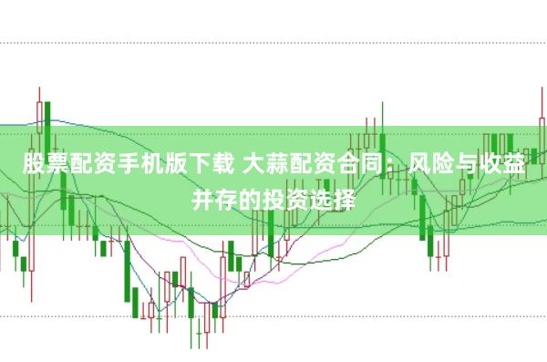 股票配资手机版下载 大蒜配资合同：风险与收益并存的投资选择