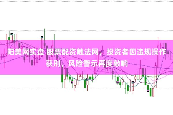阳美网实盘 股票配资触法网，投资者因违规操作获刑，风险警示再度敲响
