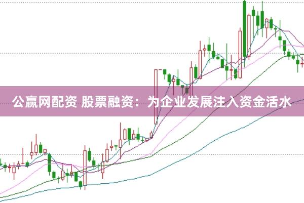 公赢网配资 股票融资：为企业发展注入资金活水