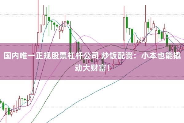 国内唯一正规股票杠杆公司 炒饭配资:小本也能撬动大财富!