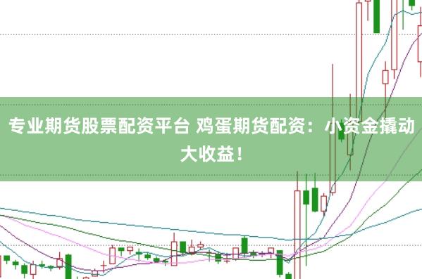 专业期货股票配资平台 鸡蛋期货配资：小资金撬动大收益！