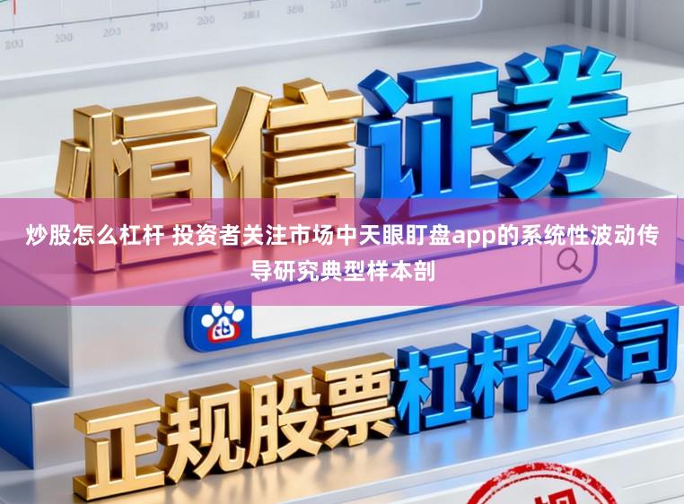 炒股怎么杠杆 投资者关注市场中天眼盯盘app的系统性波动传导研究典型样本剖