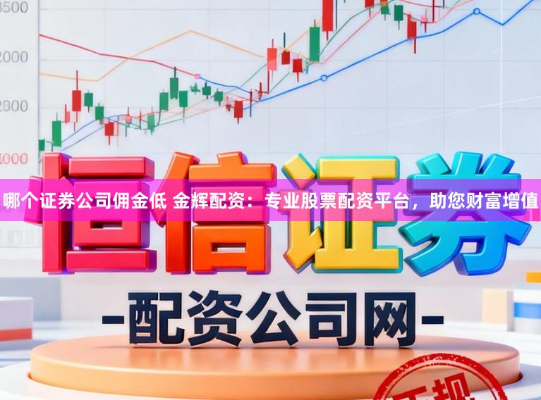 哪个证券公司佣金低 金辉配资：专业股票配资平台，助您财富增值